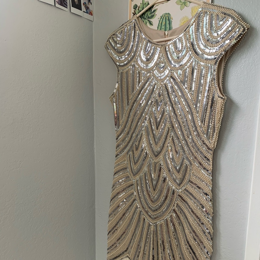Brand new never worn 1920s costume flapper dress!
